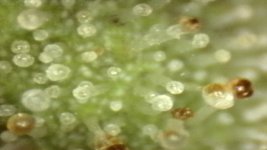 20250910-204408-719.jpg