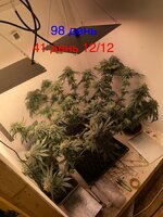 IMG_1855.jpeg